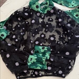 Zara Green and Black Organza Floral Top